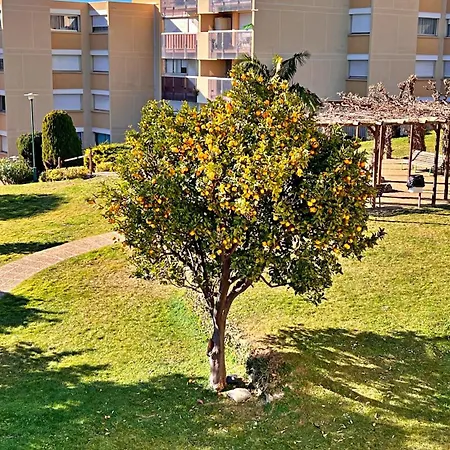 Le Soleil D'or *